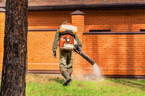Trusted Ant Control service in South Connellsville, PA - Nex Pest Control